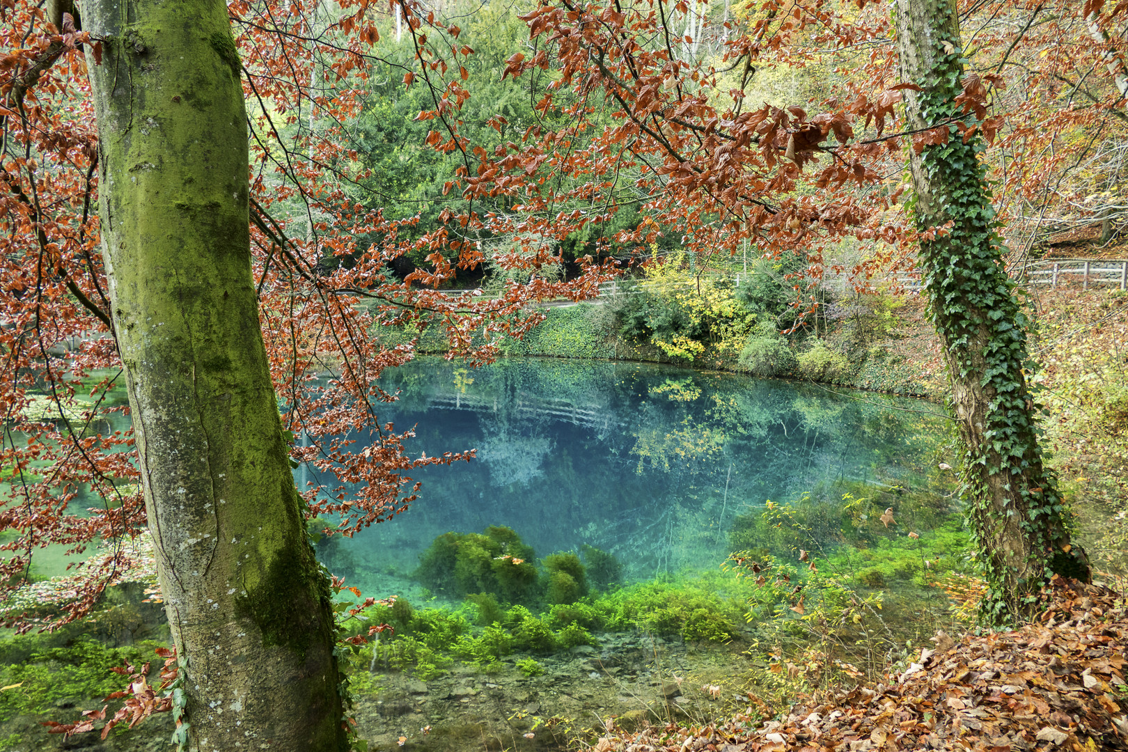 Blaubeuren, Blautopf