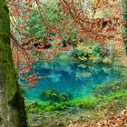 Blaubeuren, Blautopf