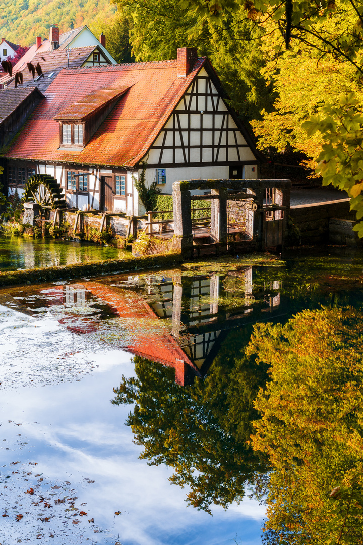 Blaubeuren im Herbst