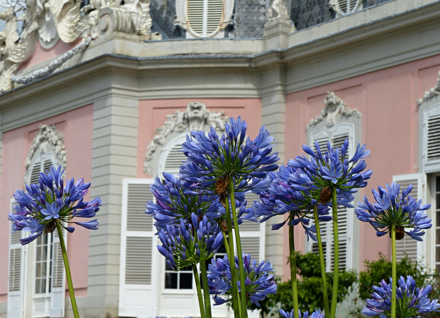 Blaublütiges vor dem Schloss