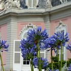 Blaublütiges vor dem Schloss