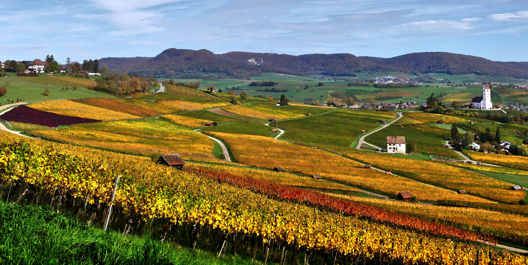 Blauburgunderland Foto & Bild | natur, herbst, landschaft Bilder auf ...