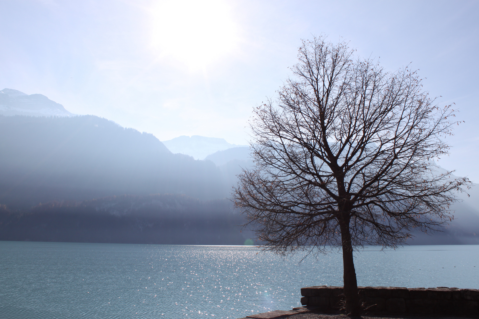 Blaue Abendstunde im Herbst