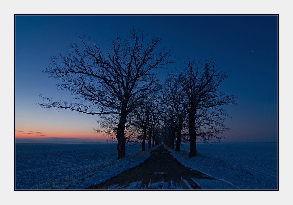 Blaue Allee