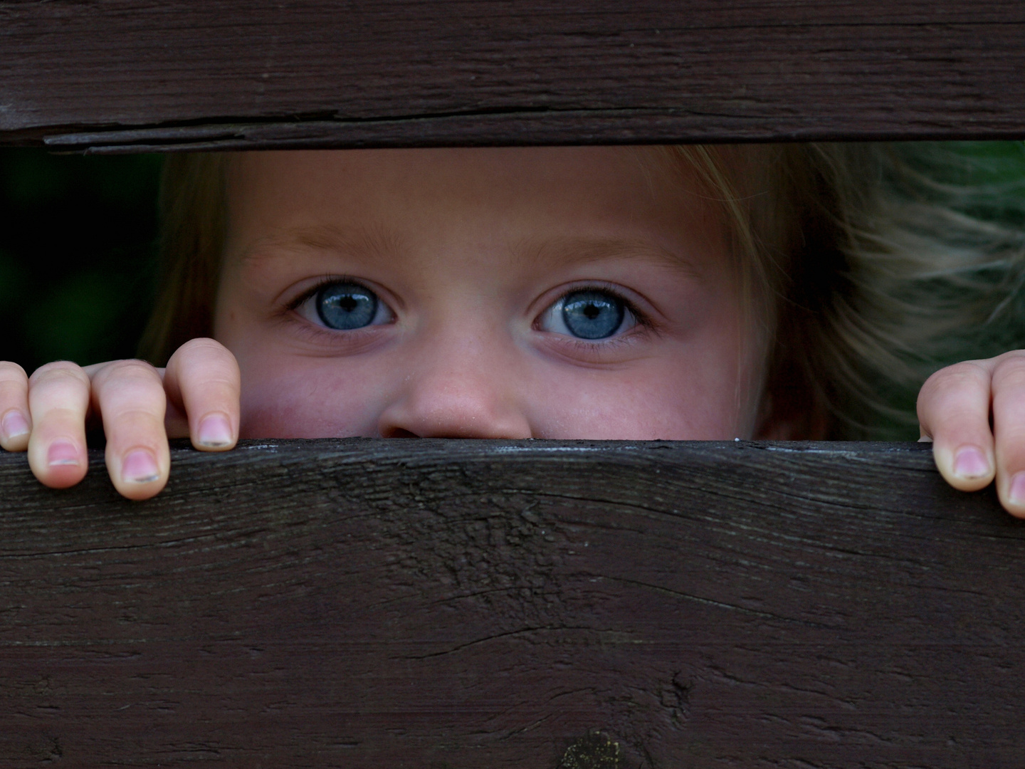 Blaue Augen