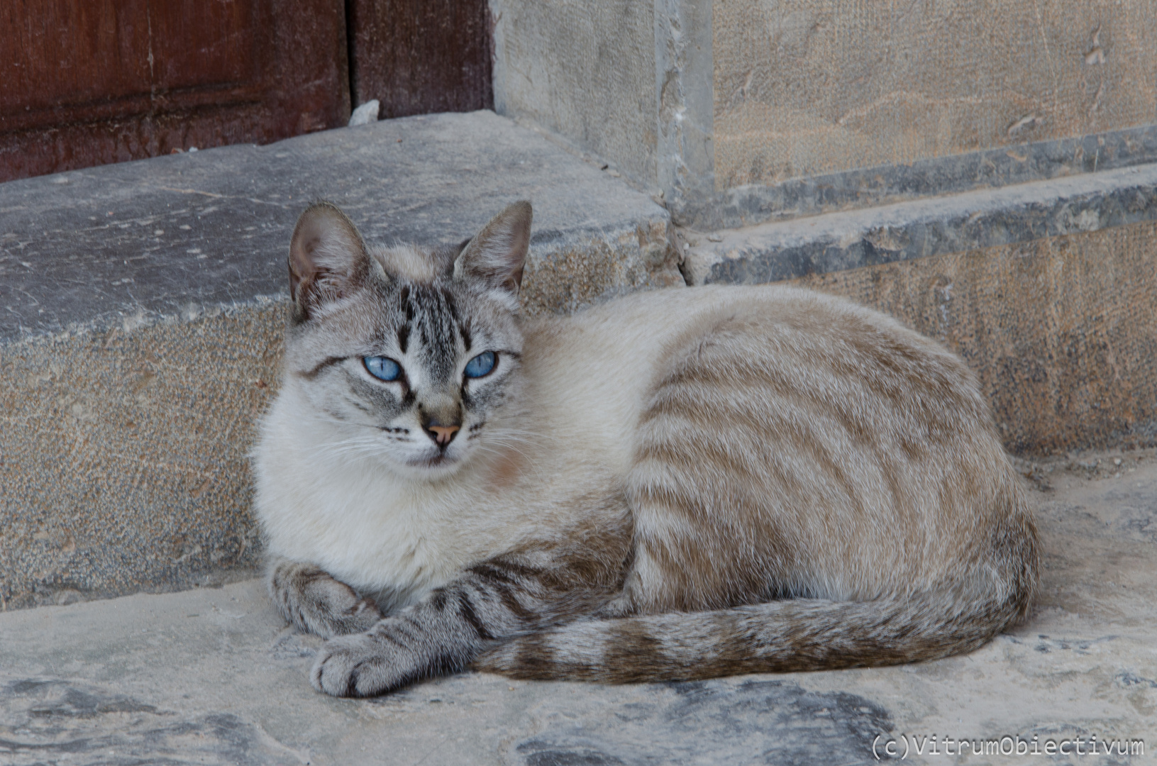 blaue Augen