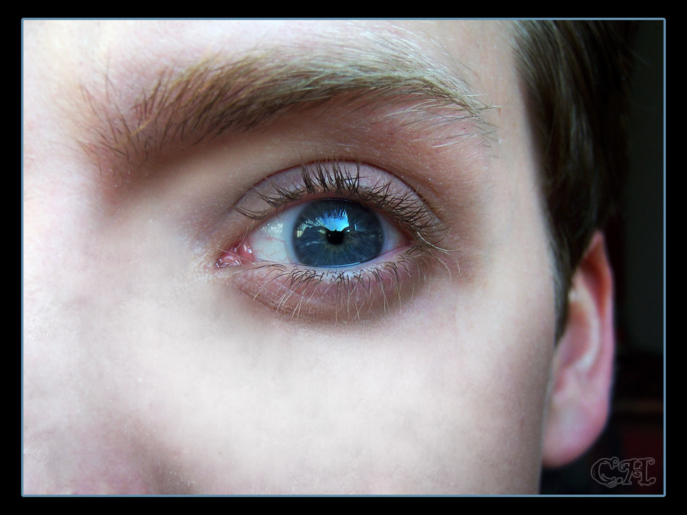 Blaue Augen Lügen nicht.... ;) Foto & Bild fotos von teilen des