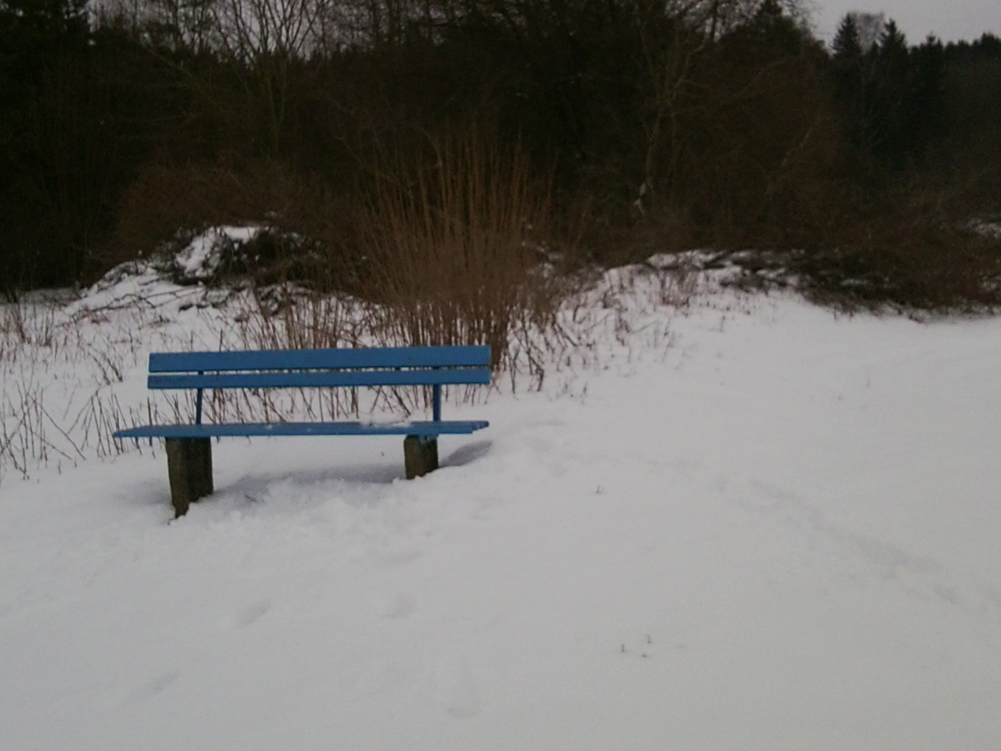blaue Bank im Schnee