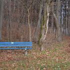 blaue Bank im Wald