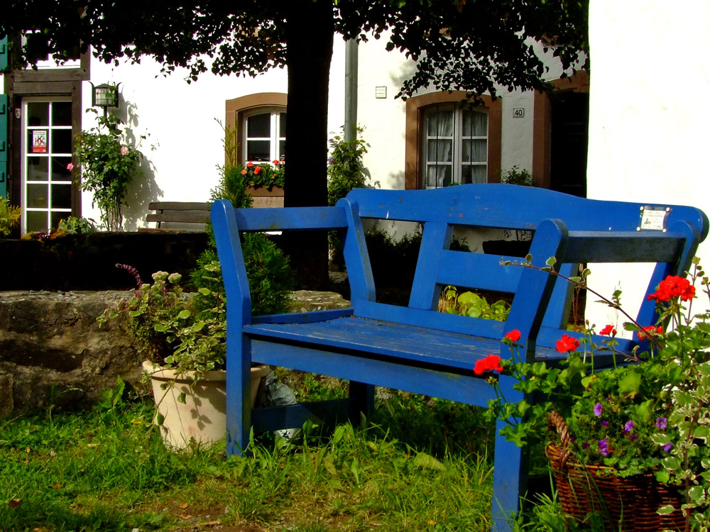 Blaue Bank in der Morgensonne