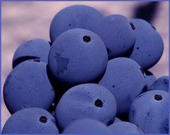 blaue beeren