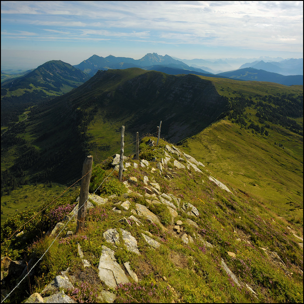 blaue Berge