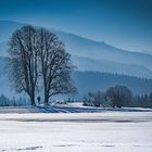 Blaue Berge