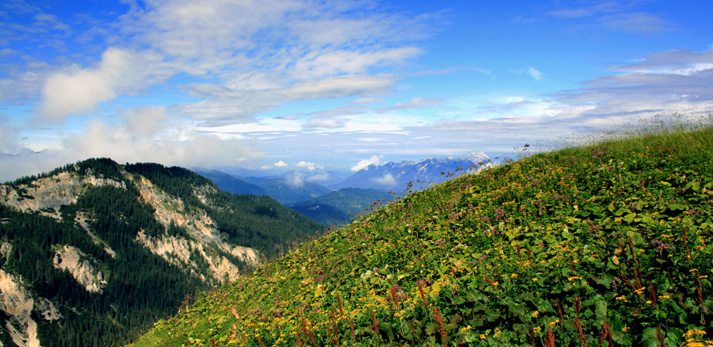 Blaue Berge