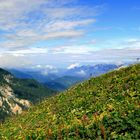 Blaue Berge