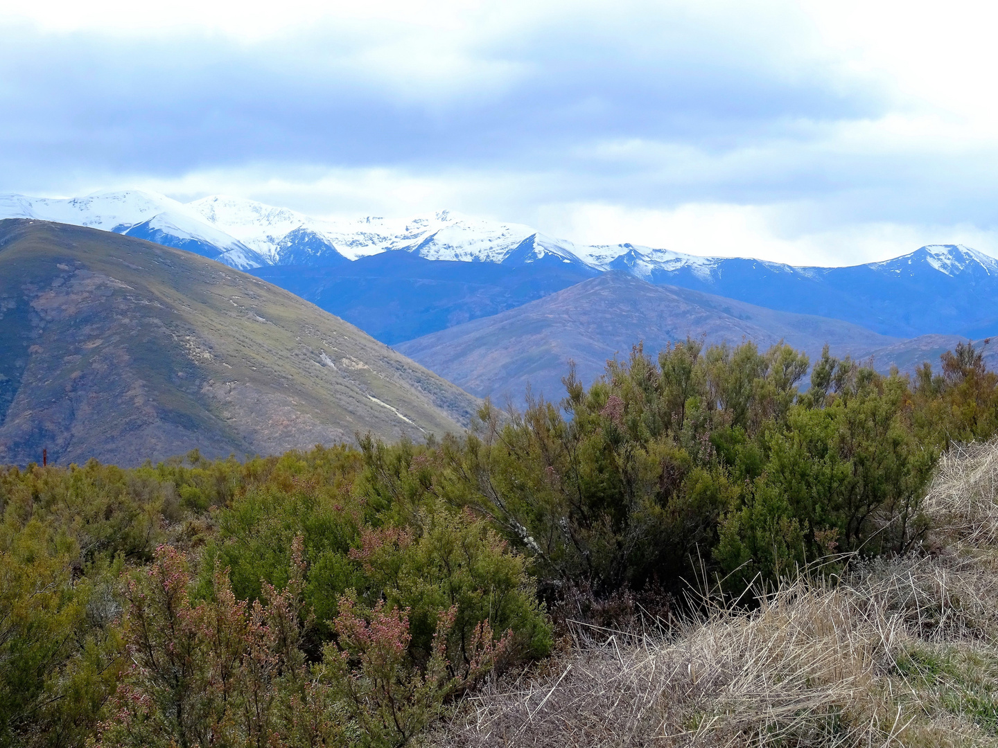 *blaue Berge*