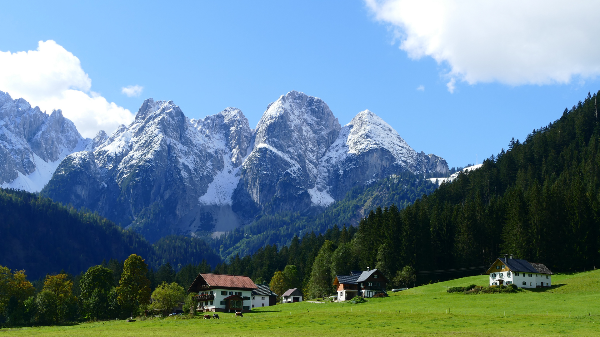 Blaue Berge