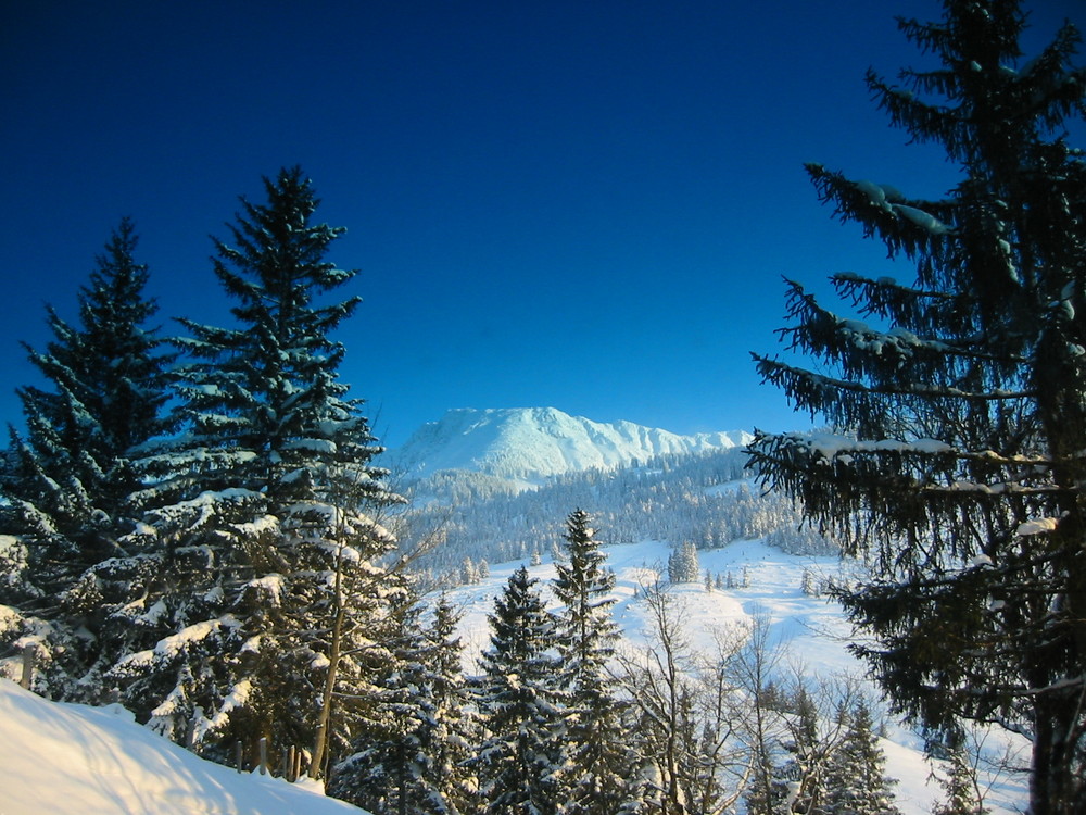 Blaue Berge gibt es auch bei uns