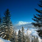 Blaue Berge gibt es auch bei uns