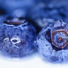 Blaue Blaubeeren