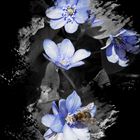 blaue Blume  mit Biene