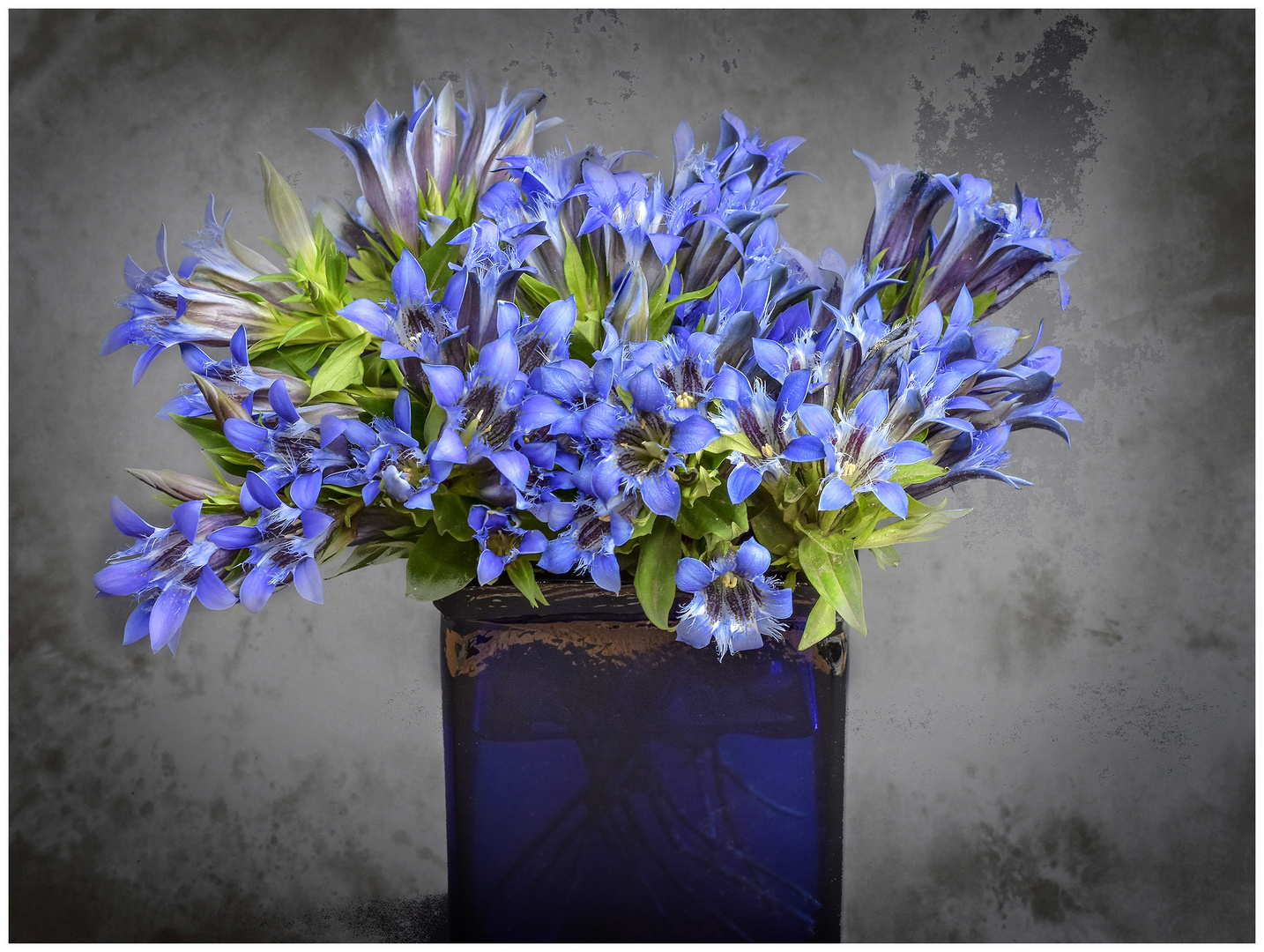 Blaue Blumen