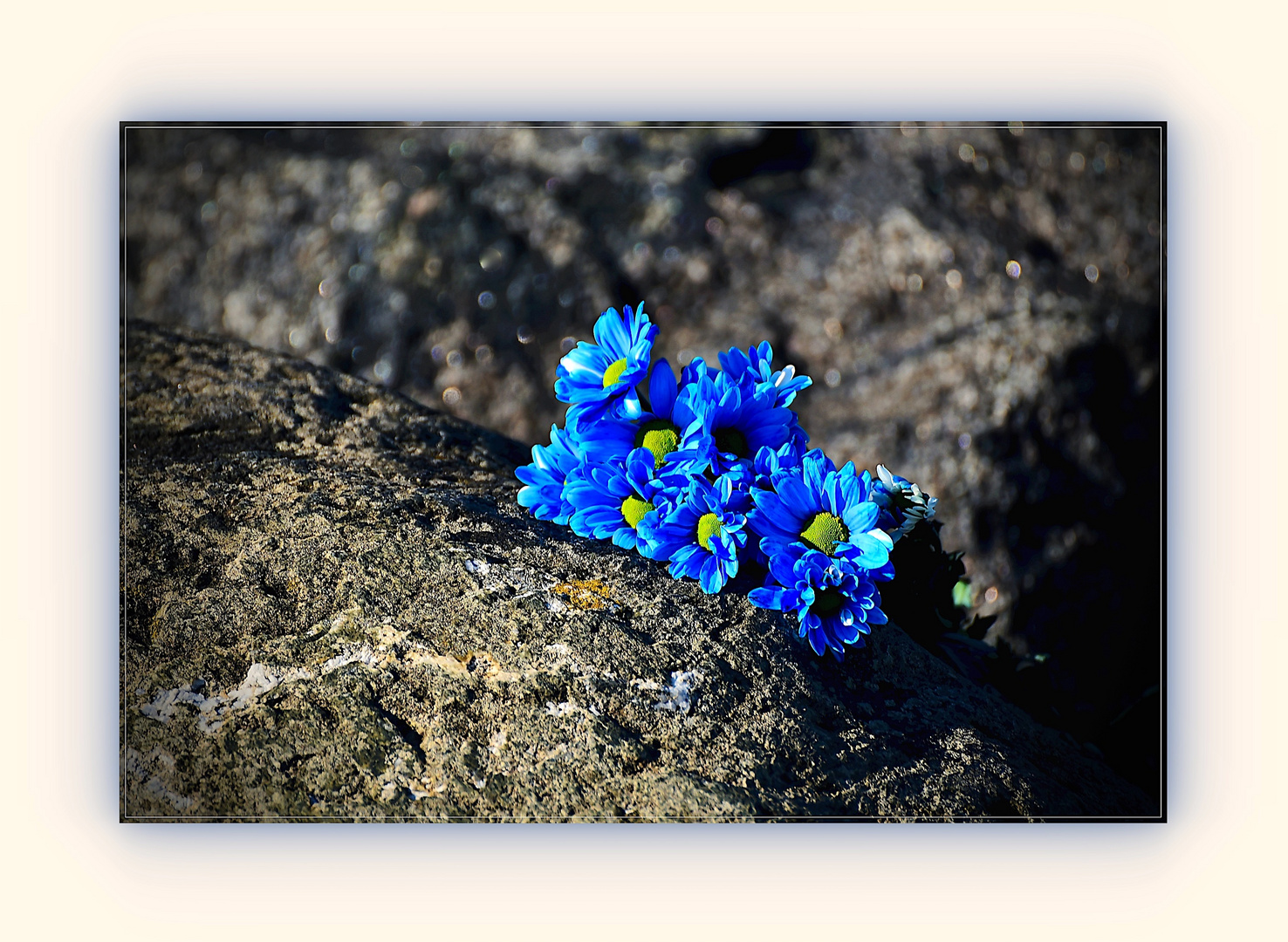 Blaue Blumen der Trauer