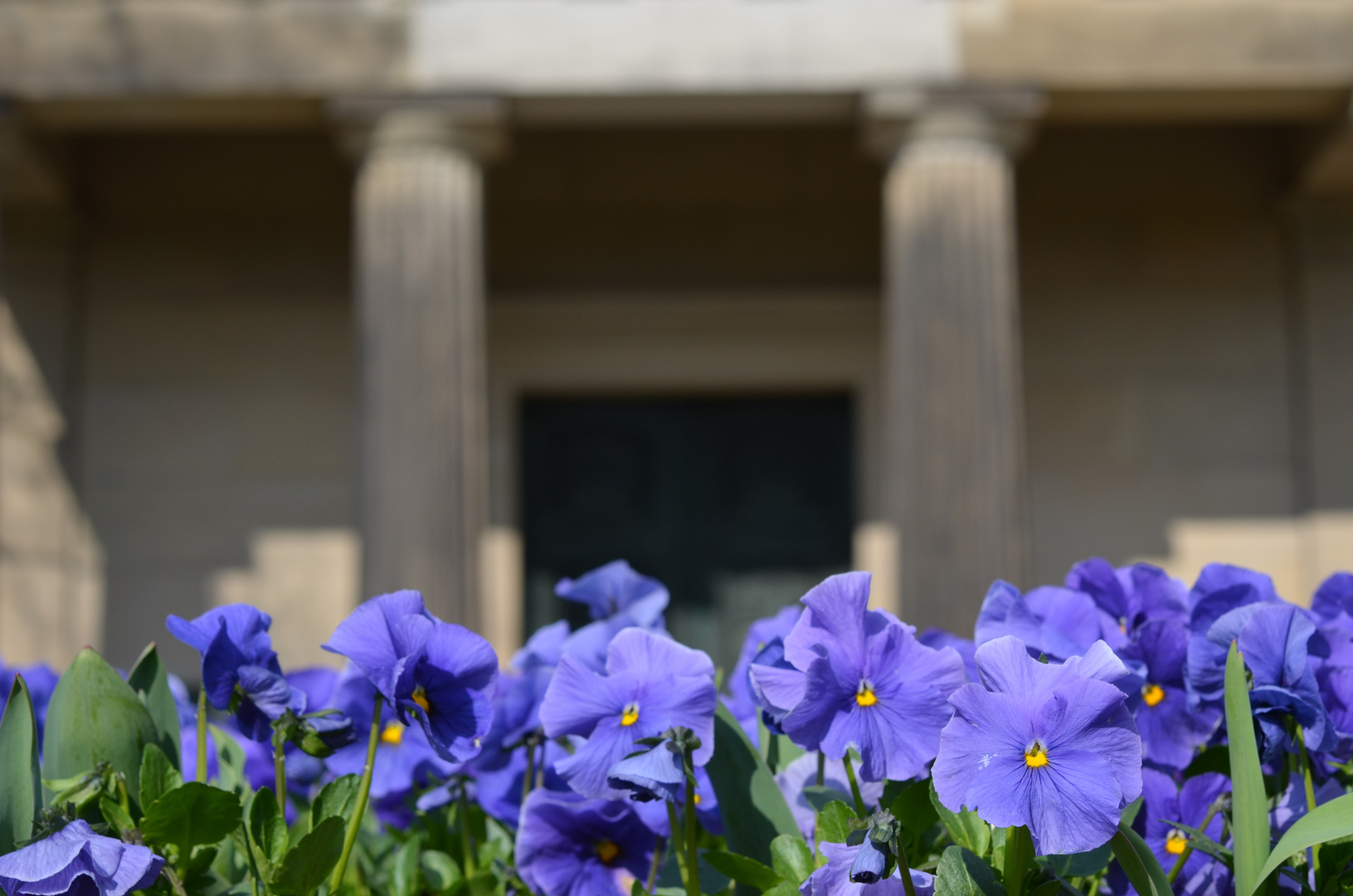 Blaue Blumen vor dem Mausoleum