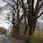 blaue brücke