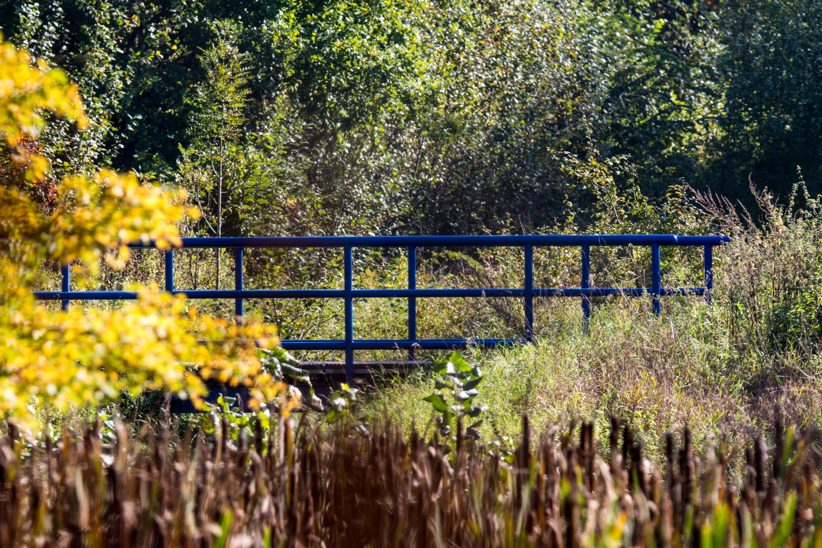 Blaue Brücke im Grünen