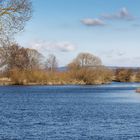 blaue Donau