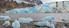 BLAUE EISBERGE