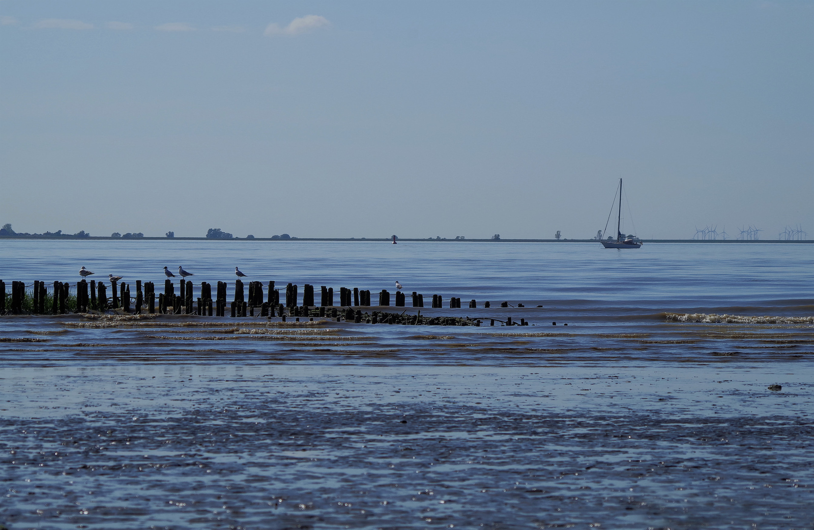 blaue Elbe