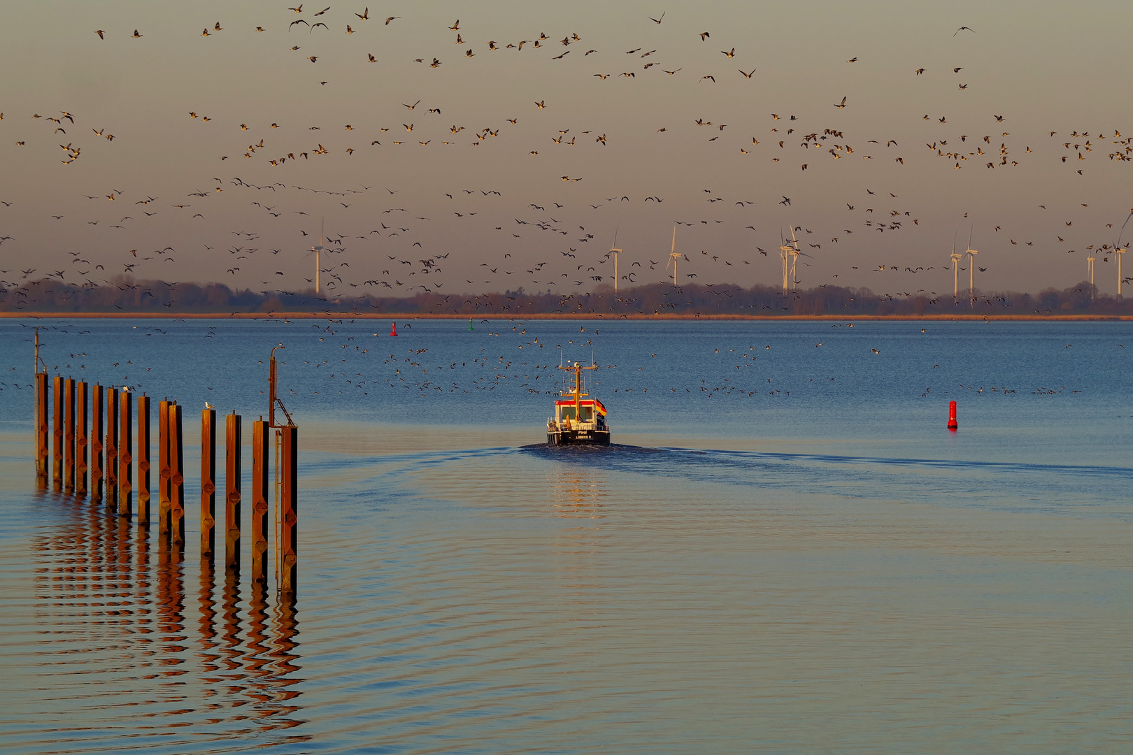 blaue Elbe