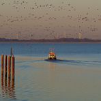 blaue Elbe