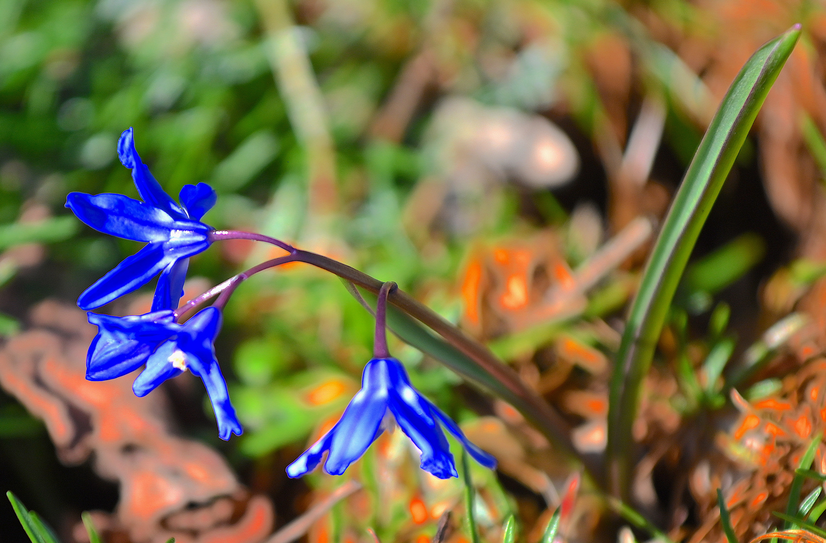 blaue Farbpunkte