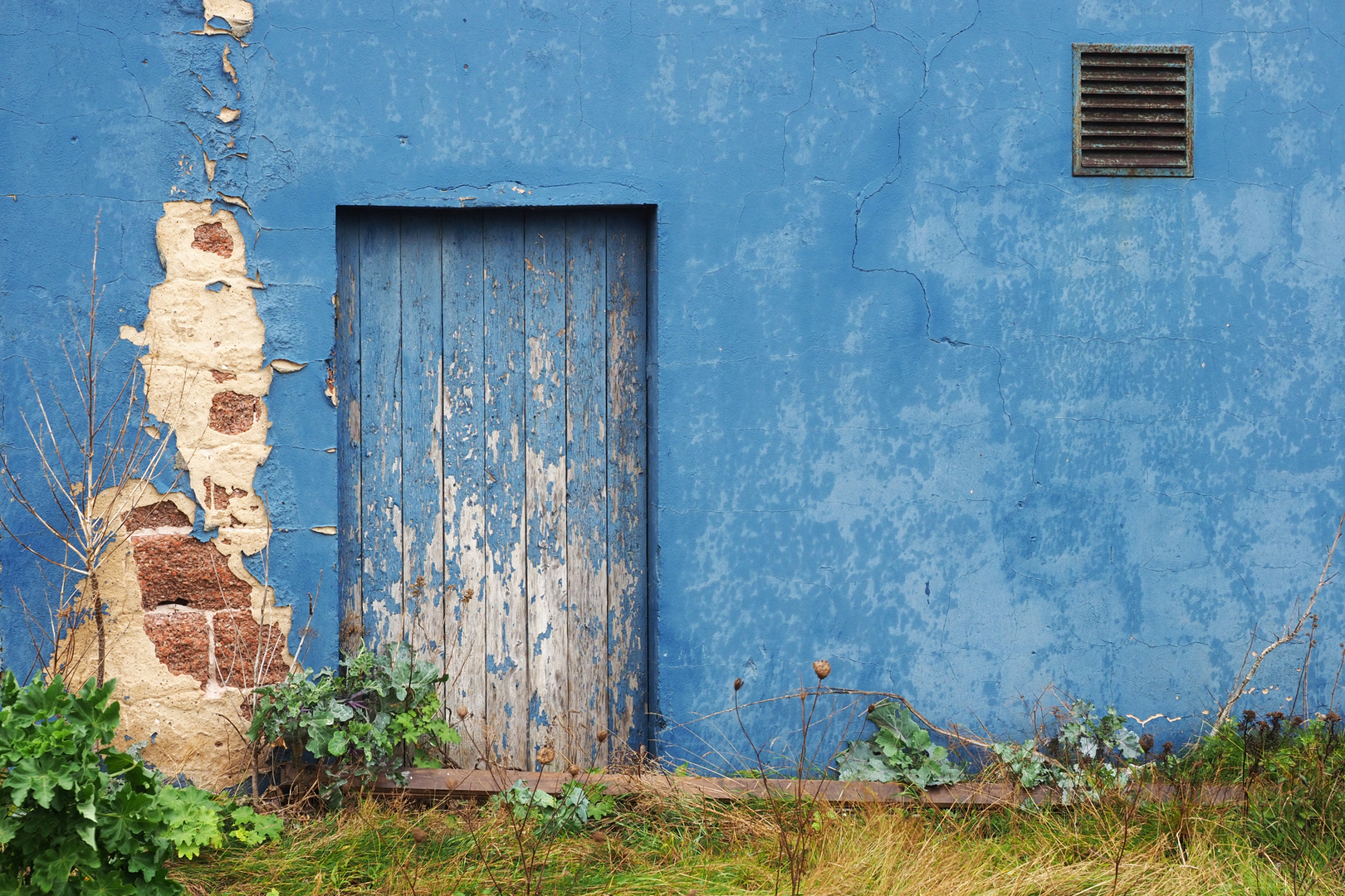 Blaue Fassade