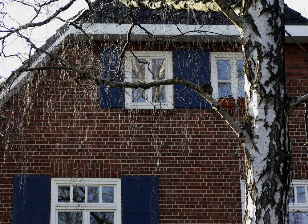 Blaue Fenster