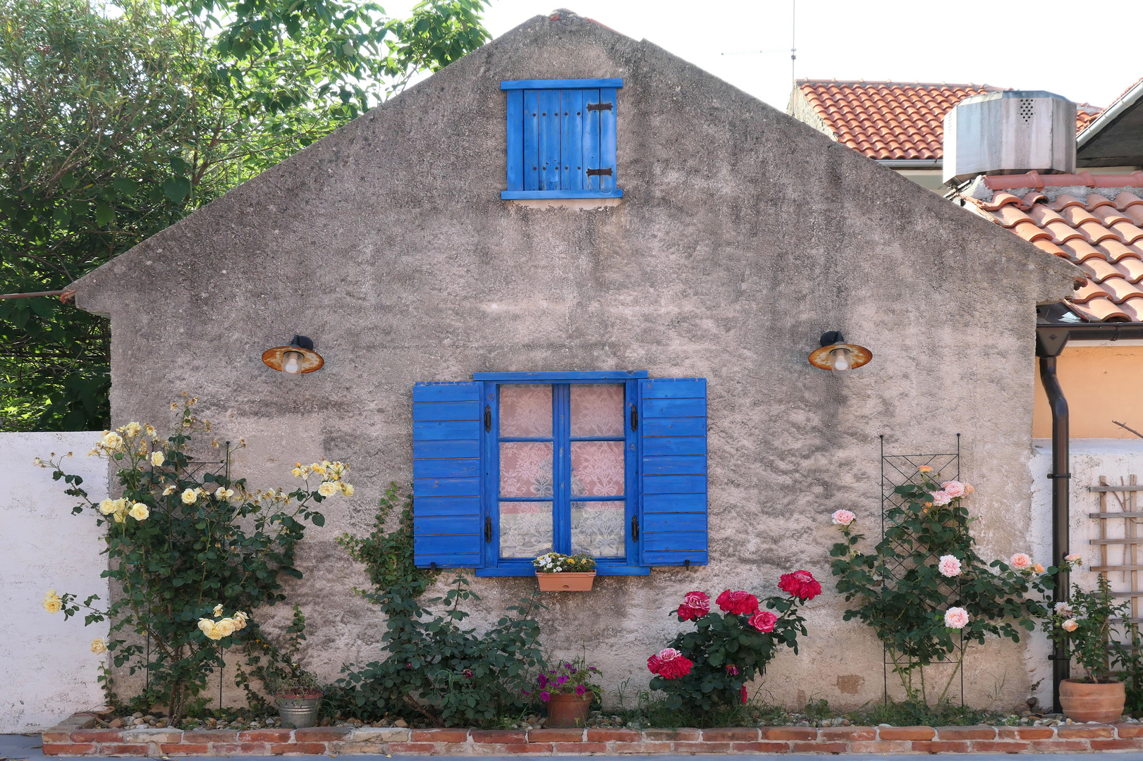 blaue Fenster