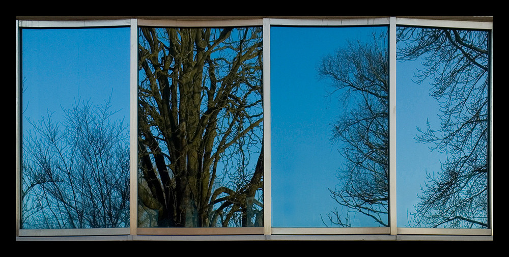 Blaue Fenster