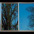 Blaue Fenster