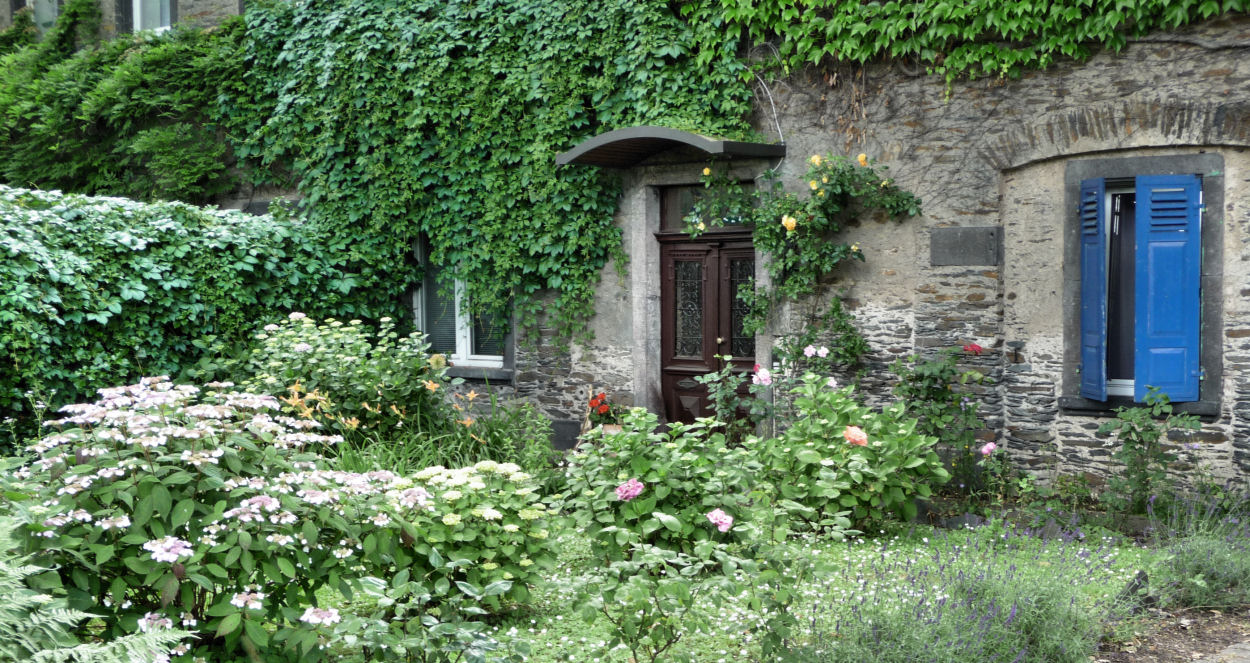 Blaue Fensterläden im Grünen