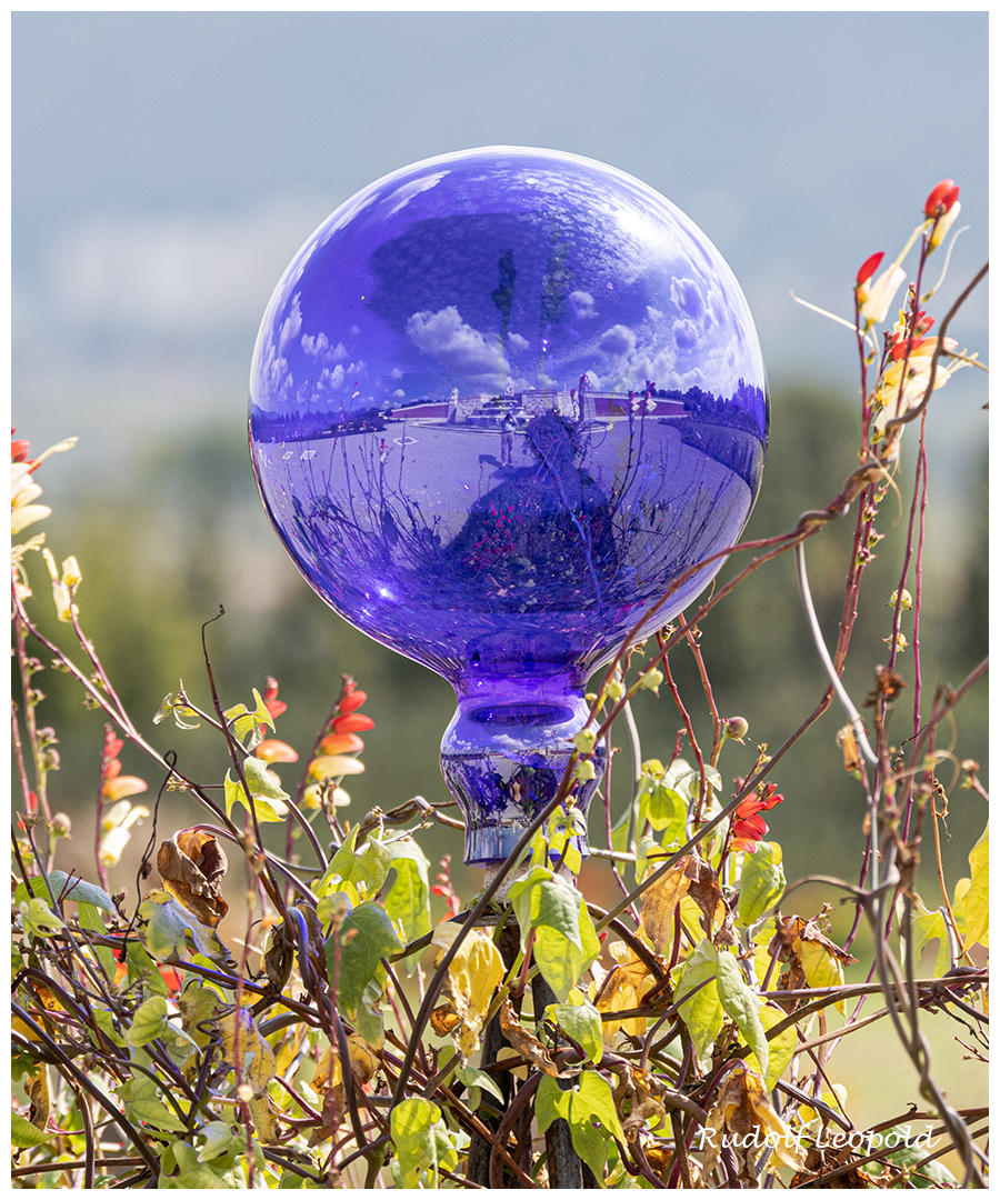 blaue Glaskugel in einem Garten