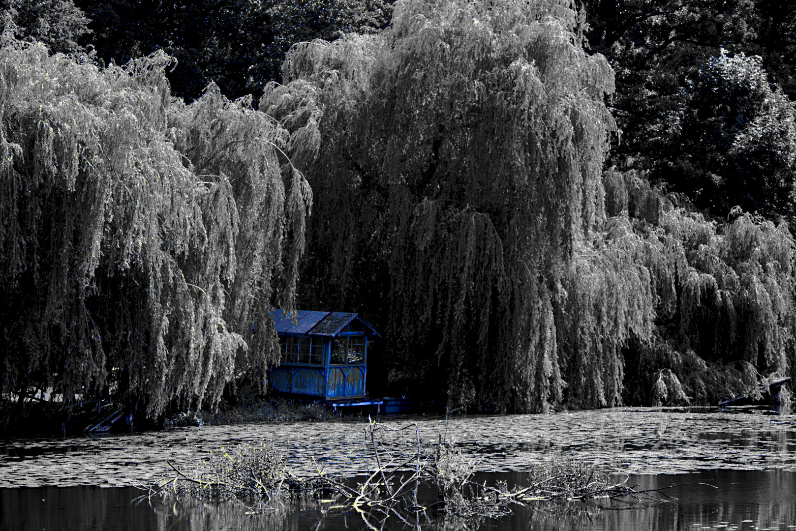 blaue Hütte am Teich