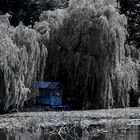 blaue Hütte am Teich