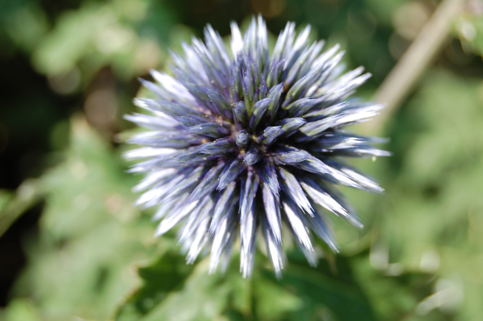 Blaue Kugel