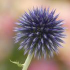 Blaue Kugel zum Blue Monday