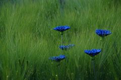 Blaue Kunstblumen im Grünen