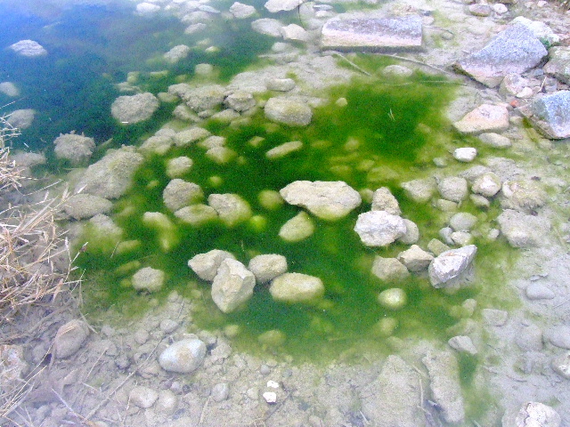 Blaue Lagune an der Isar