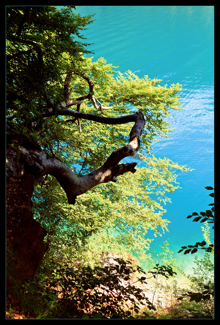 Blaue Lagune ... Lago di Tenno